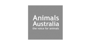 annimals